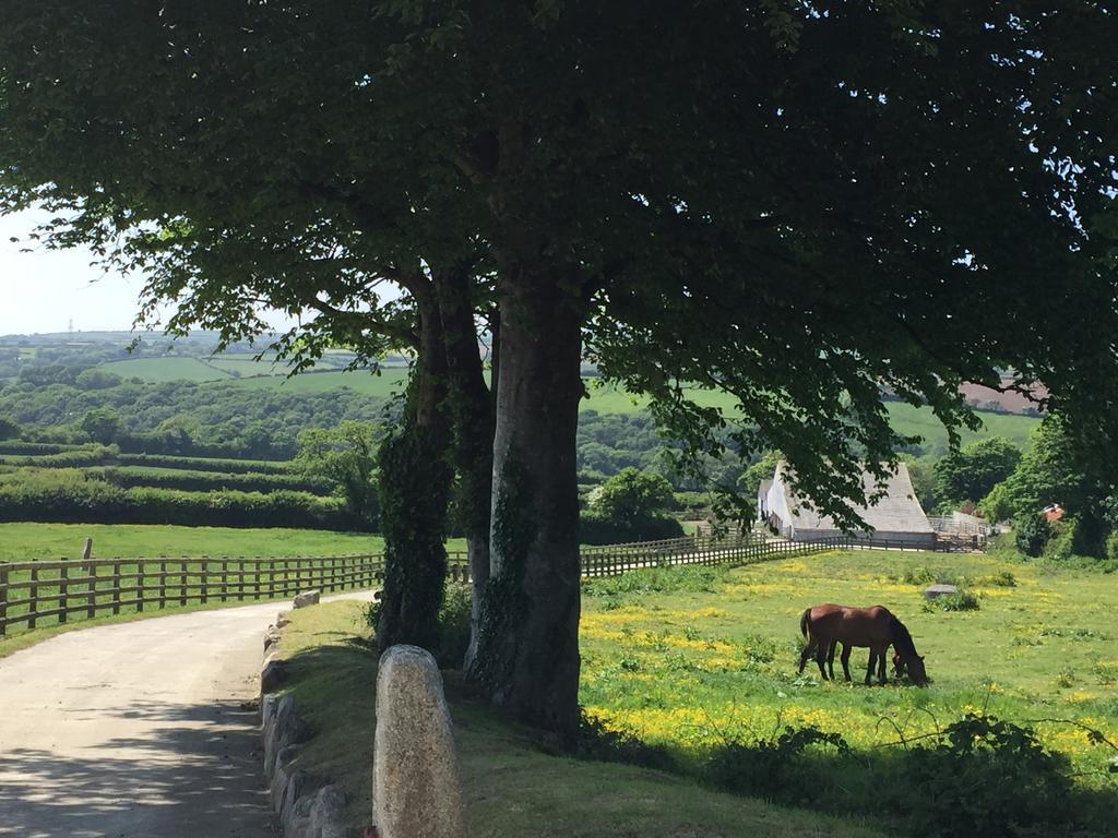 Treveighan Farmhouse Saint Teath Exterior photo